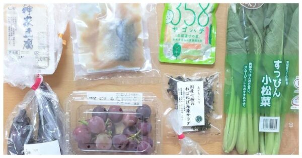 お試しセット内容1